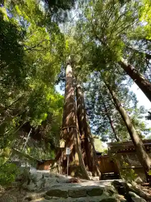丹生川上神社(中社)の{uncategorized: "未分類", other: "その他", undefined: "問題あり", building: "その他建物", grave: "お墓", sacred_gate: "鳥居", guardian: "狛犬", statue: "像", buddha: "仏像", history: "歴史", nature: "自然", garden: "庭園", animal: "動物", pagoda: "塔", temizu: "手水舎", mountain_gate: "山門・神門", sanctuary: "本殿・本堂", subordinate: "末社・摂社", art: "芸術", scenery: "景色", jizo: "地蔵", ema: "絵馬", goshuin: "御朱印", omikuji: "おみくじ", items: "授与品その他", amulet: "お守り", goshuincho: "御朱印帳", eats: "食事", festival: "お祭り", votive_dance: "神楽", shichigosan: "七五三参", wedding: "結婚式", experience: "体験その他", initially: "初詣", around: "周辺", anti_infection: "感染症対策"}