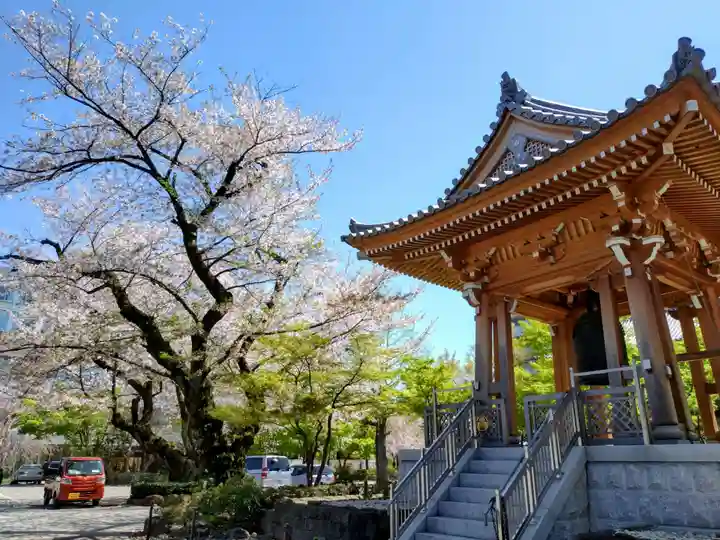 伝通院(東京都)