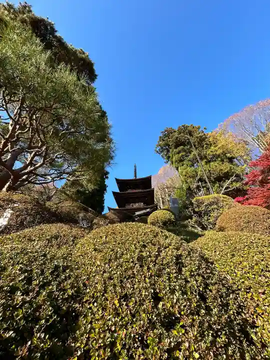 国宝 大法寺(長野県)