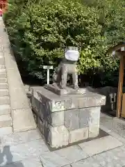 鶴岡八幡宮の狛犬