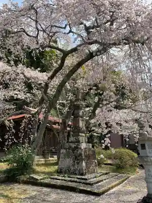 成願寺(千葉県)