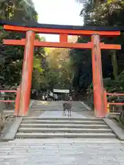 春日大社の鳥居