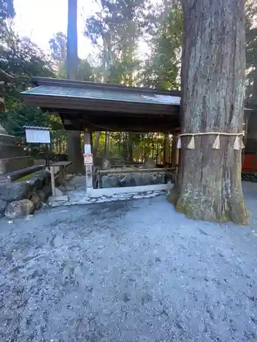 椿大神社(三重県)