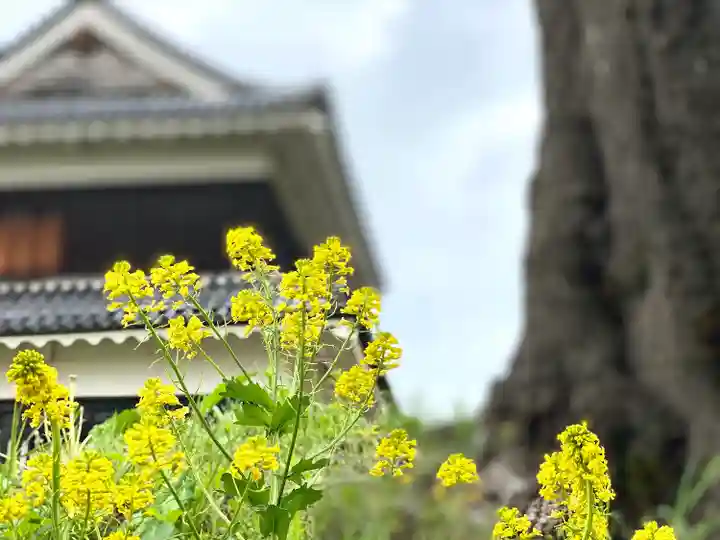 眞田神社の自然