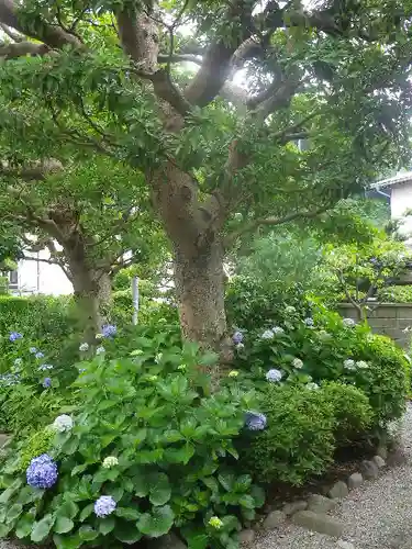 實相寺（実相寺）の庭園