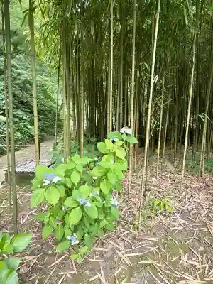浄智寺(神奈川県)