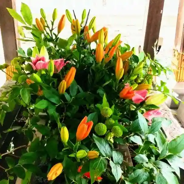 彌彦神社 (伊夜日子神社)の手水舎