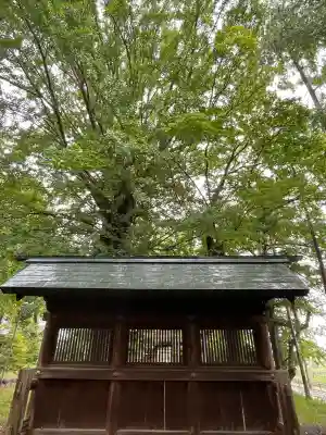 鞆江神社（明地）の{uncategorized: "未分類", other: "その他", undefined: "問題あり", building: "その他建物", grave: "お墓", sacred_gate: "鳥居", guardian: "狛犬", statue: "像", buddha: "仏像", history: "歴史", nature: "自然", garden: "庭園", animal: "動物", pagoda: "塔", temizu: "手水舎", mountain_gate: "山門・神門", sanctuary: "本殿・本堂", subordinate: "末社・摂社", art: "芸術", scenery: "景色", jizo: "地蔵", ema: "絵馬", goshuin: "御朱印", omikuji: "おみくじ", items: "授与品その他", amulet: "お守り", goshuincho: "御朱印帳", eats: "食事", festival: "お祭り", votive_dance: "神楽", shichigosan: "七五三参", wedding: "結婚式", experience: "体験その他", initially: "初詣", around: "周辺", anti_infection: "感染症対策"}