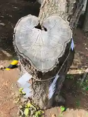 大谷地神社の自然