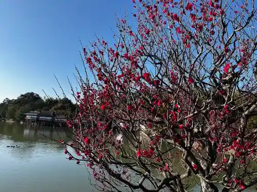 長岡天満宮(京都府)