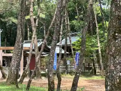 みそぎ御殿(宮崎県)