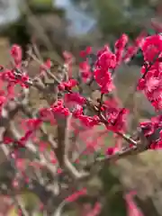 中山寺の自然