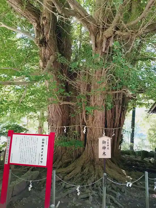 山寺日枝神社(山形県)