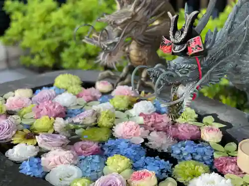 駒込妙義神社の手水舎