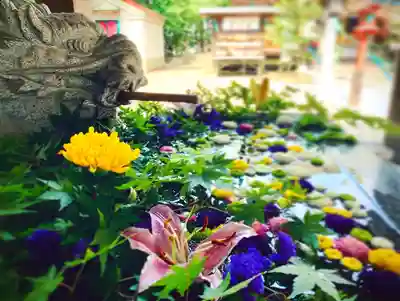 滑川神社 - 仕事と子どもの守り神の手水舎