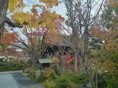 月蔵寺(大阪府)