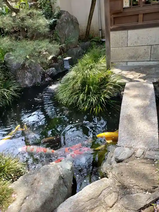 東光寺(東京都)