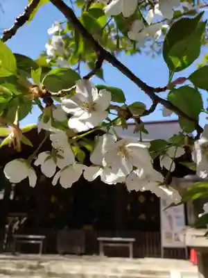 渋谷氷川神社(東京都)