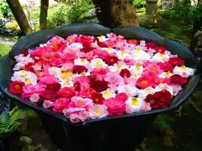 法然院のその他建物