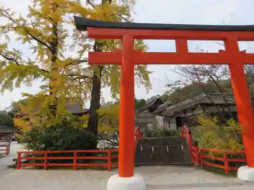 賀茂御祖神社（下鴨神社）(京都府)
