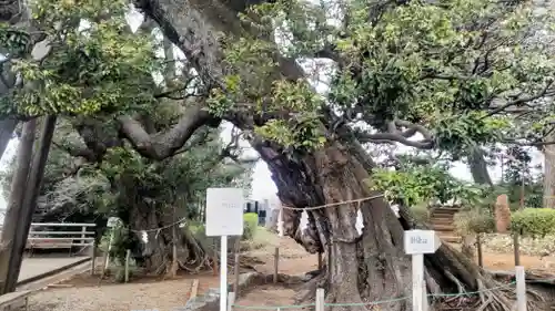 九重神社(埼玉県)