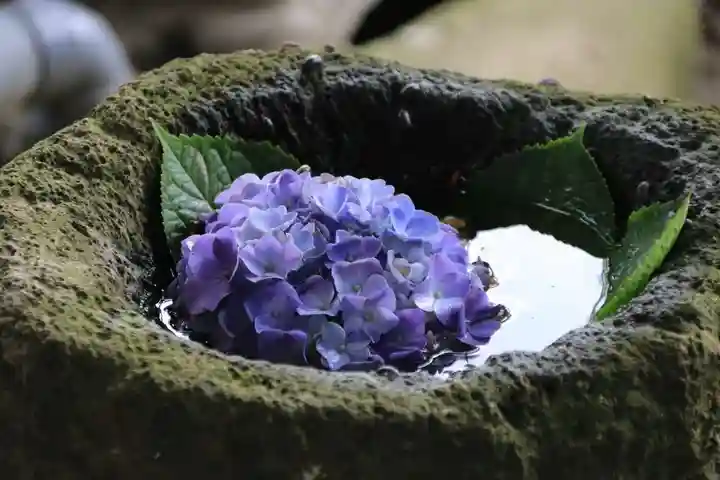 阿久津「田村神社」(郡山市阿久津町)旧社名:伊豆箱根三嶋三社の手水舎