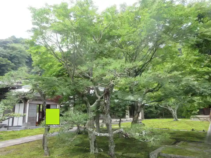 長壽寺(長寿寺)(神奈川県)