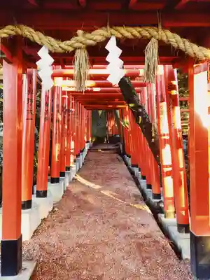 廣坂稲荷神社の鳥居
