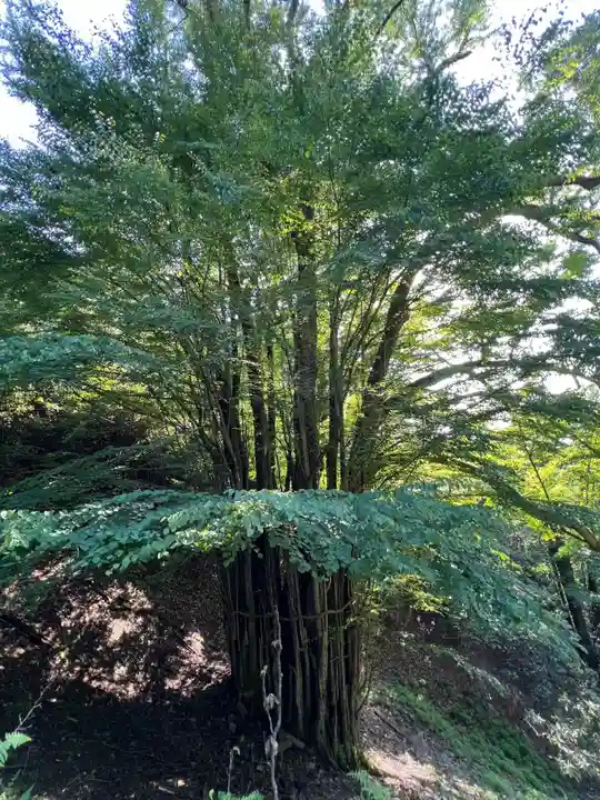 正法寺(滋賀県)