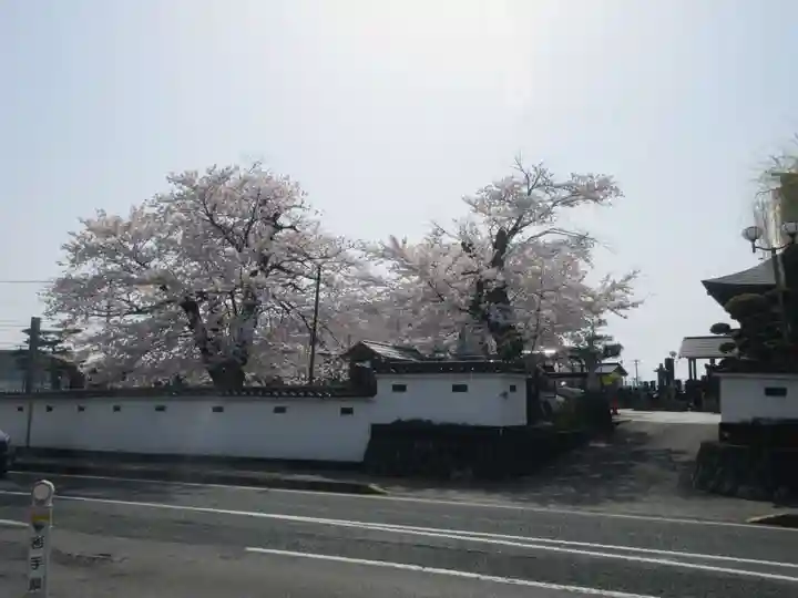 宗青寺(岩手県)
