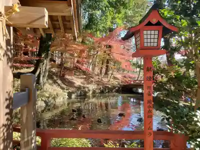 間々田八幡宮(栃木県)