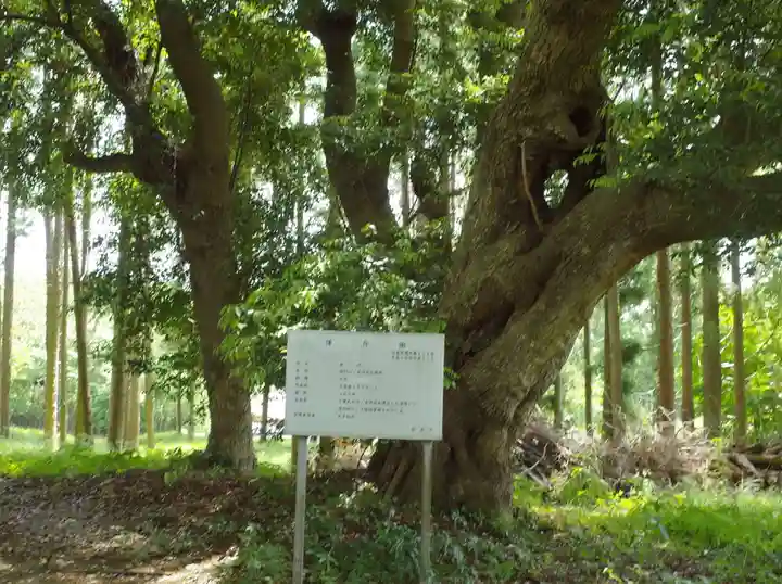 将門口ノ宮神社の庭園