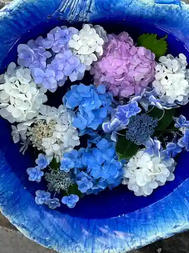 川越八幡宮(埼玉県)