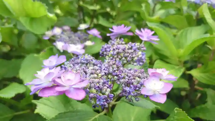 楽法寺(雨引観音)(茨城県)