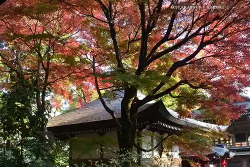 高尾山薬王院(東京都)