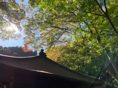 普門寺(切り絵御朱印発祥の寺)のその他建物