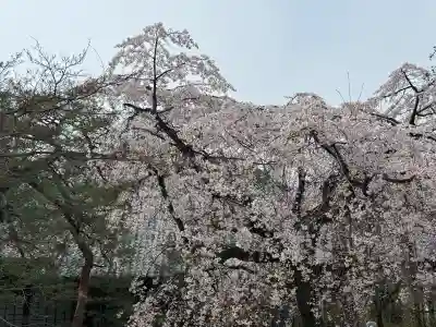 中院の{uncategorized: "未分類", other: "その他", undefined: "問題あり", building: "その他建物", grave: "お墓", sacred_gate: "鳥居", guardian: "狛犬", statue: "像", buddha: "仏像", history: "歴史", nature: "自然", garden: "庭園", animal: "動物", pagoda: "塔", temizu: "手水舎", mountain_gate: "山門・神門", sanctuary: "本殿・本堂", subordinate: "末社・摂社", art: "芸術", scenery: "景色", jizo: "地蔵", ema: "絵馬", goshuin: "御朱印", omikuji: "おみくじ", items: "授与品その他", amulet: "お守り", goshuincho: "御朱印帳", eats: "食事", festival: "お祭り", votive_dance: "神楽", shichigosan: "七五三参", wedding: "結婚式", experience: "体験その他", initially: "初詣", around: "周辺", anti_infection: "感染症対策"}