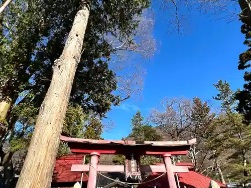 小玉川神社(長野県)