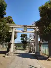 赤羽八幡神社の鳥居