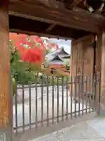 龍光院の山門・神門