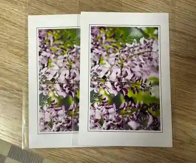 常泉寺(神奈川県)