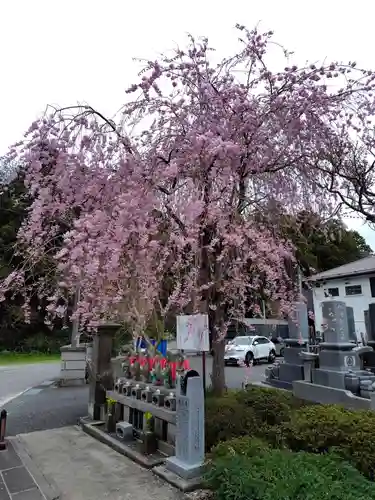 月心院(福島県)