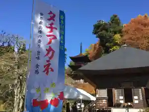 国宝 大法寺のその他建物(2022年11月11日(金) 10時50分55秒投稿)