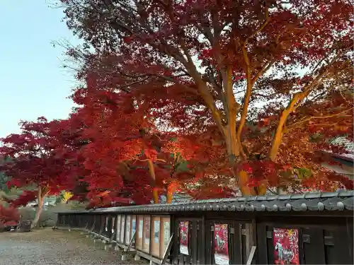 秩父御嶽神社(埼玉県)