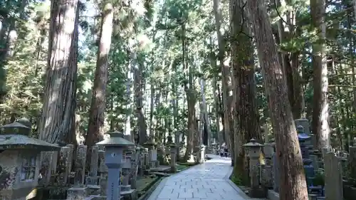 高野山金剛峯寺奥の院(和歌山県)
