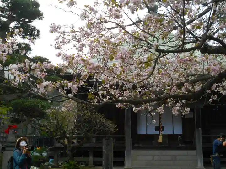 極楽寺(霊鷲山感應院極楽律寺)の自然