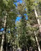 小國神社(静岡県)