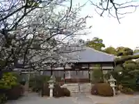 天桂院の本殿・本堂