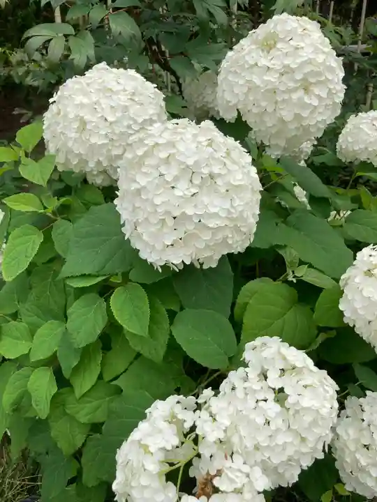 建長寺(神奈川県)