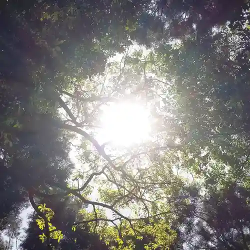 沼尾神社の自然